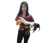 7e7ec245f5fcff6e3898565fa98422e4-removebg-preview