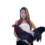 96d73aa9b2709443e7730097a20e3d15-removebg-preview