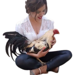 cewe-cockfight-91283123