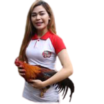 cockfight-lady-02