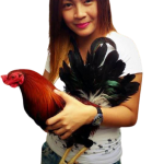 lady_cockfight0193213